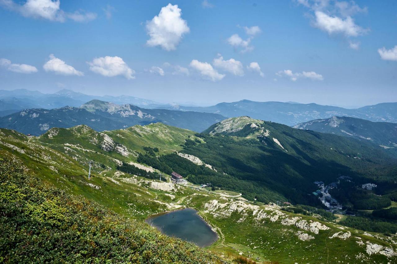 La Terrazza Sulle Piste Val Di Luce - Biancheria Inclusa アベトーネ エクステリア 写真
